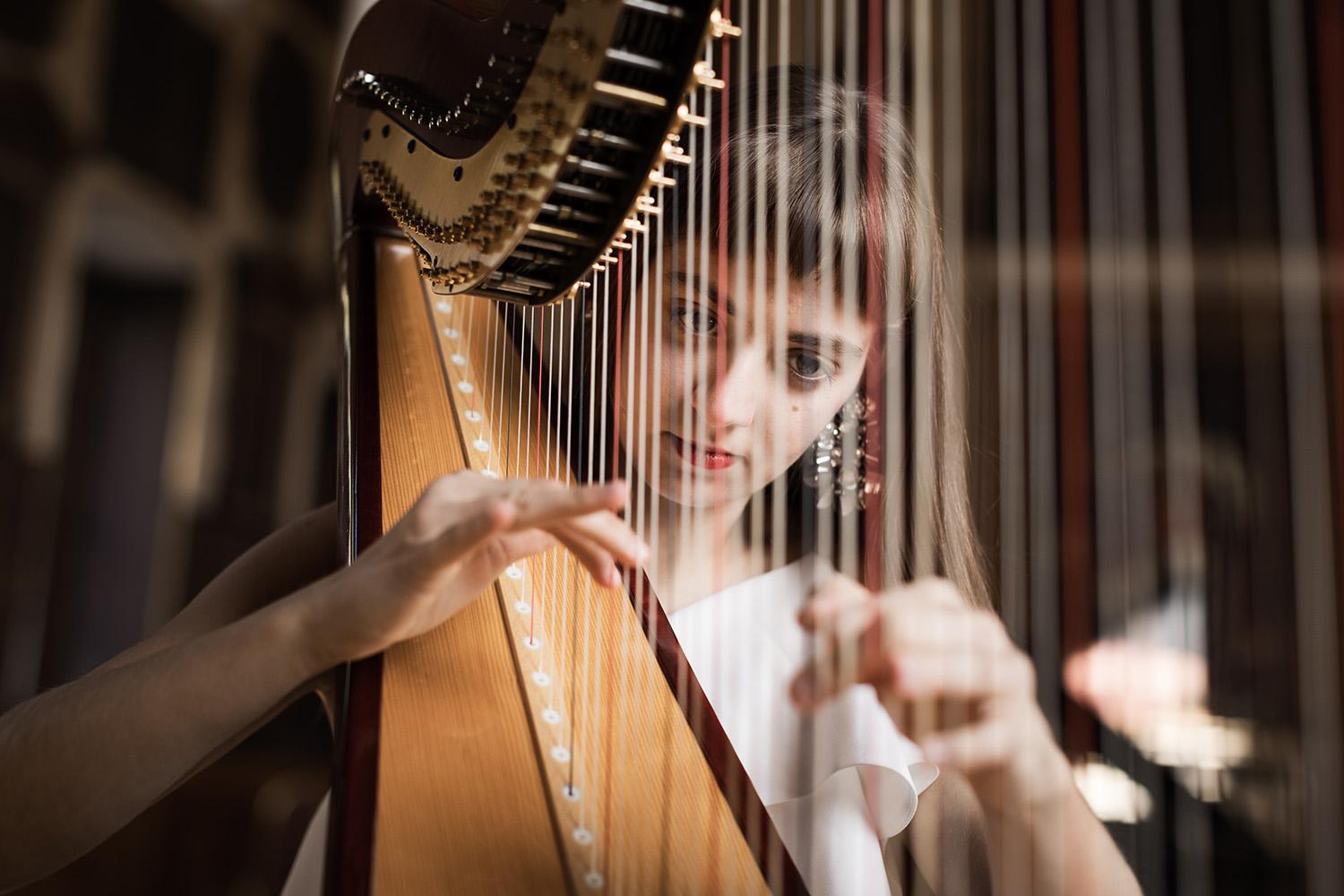 Helena Ricci, harp
